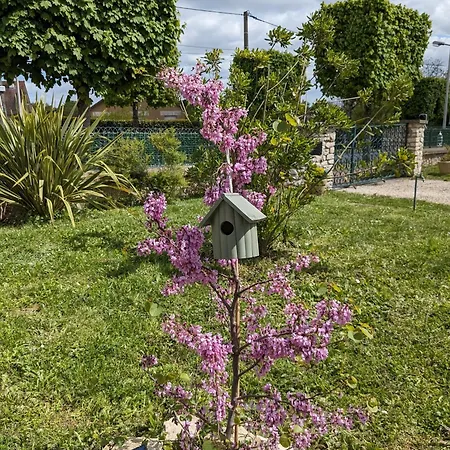 Les Jolis Nids - Moineau *