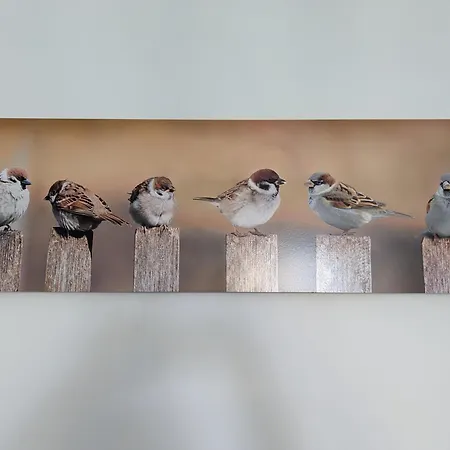 Les Jolis Nids - Moineau Apartamento *