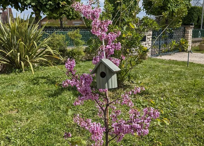 Les Jolis Nids - Moineau *