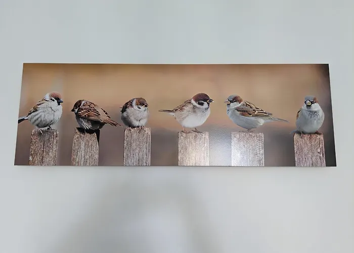 Les Jolis Nids - Moineau Apartamento *