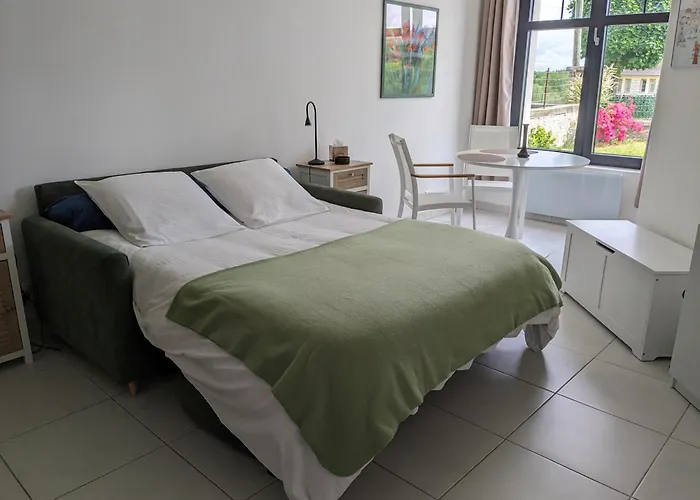 Apartamento Les Jolis Nids - Moineau La Roche-Posay