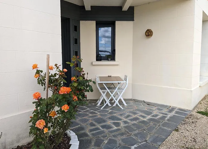 Les Jolis Nids - Moineau *