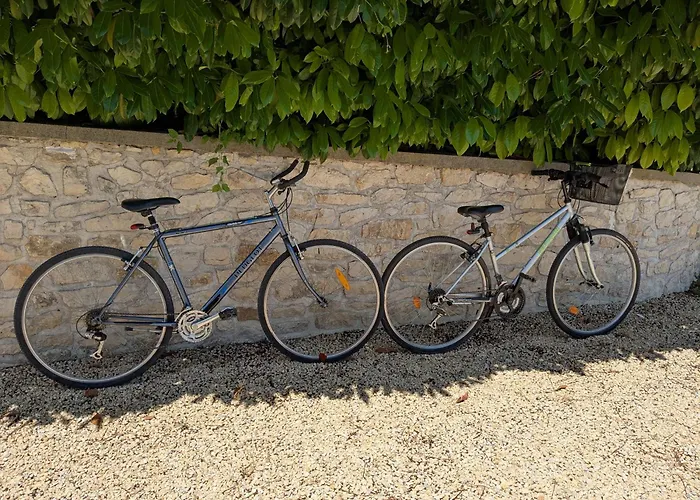 Les Jolis Nids - Moineau Apartamento La Roche-Posay